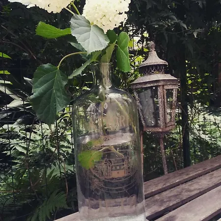 The Secret Garden Комо