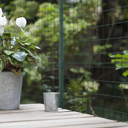 Apartment The Secret Garden *
